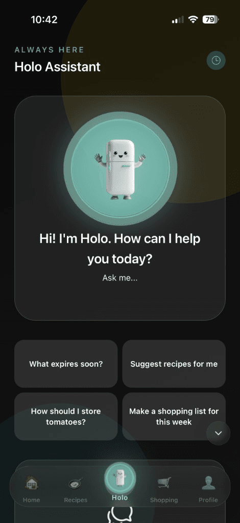 Holo Assistant chat screen